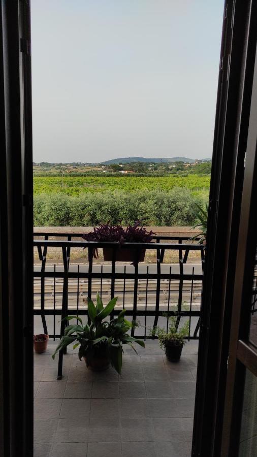 Bed and Breakfast Wintage Marino Exterior foto